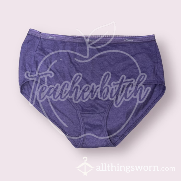 Purple Hanes Women’s Brief Panties (M)