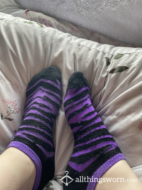 Purple Zebra Socks