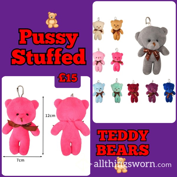 PUSSY Stuffed TEDDY Bears 🐻 🧸
