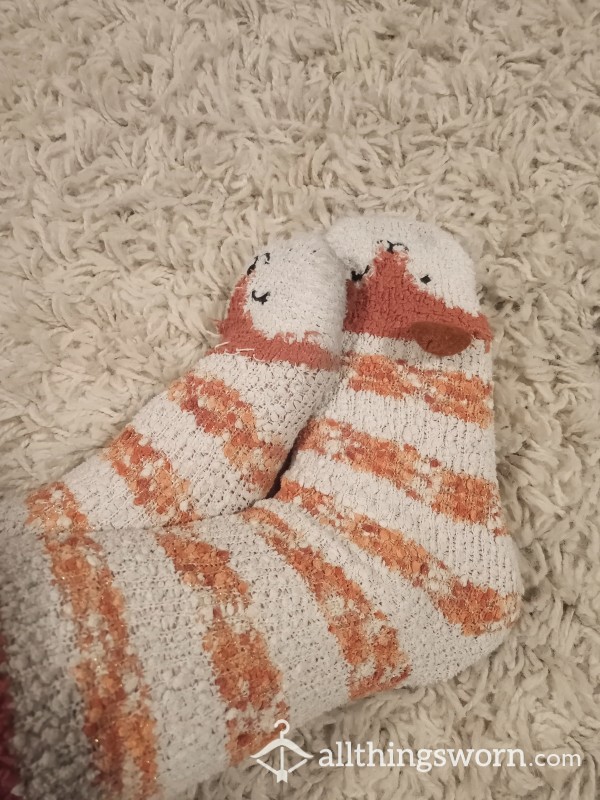 Rachel's Favourite Fox Socks