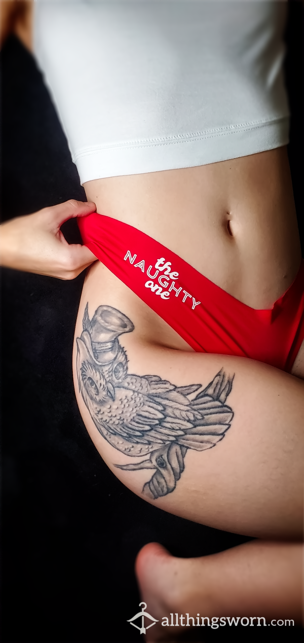 Red Nylon Aerie "The Naughty One" Cheeky Panties