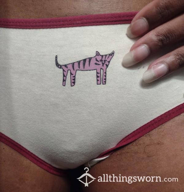 🎀Retro Kitty Panties 💕