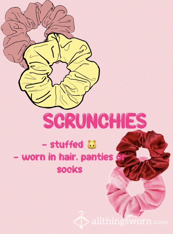 Scrunchies - Stuffed Or Worn 🐱