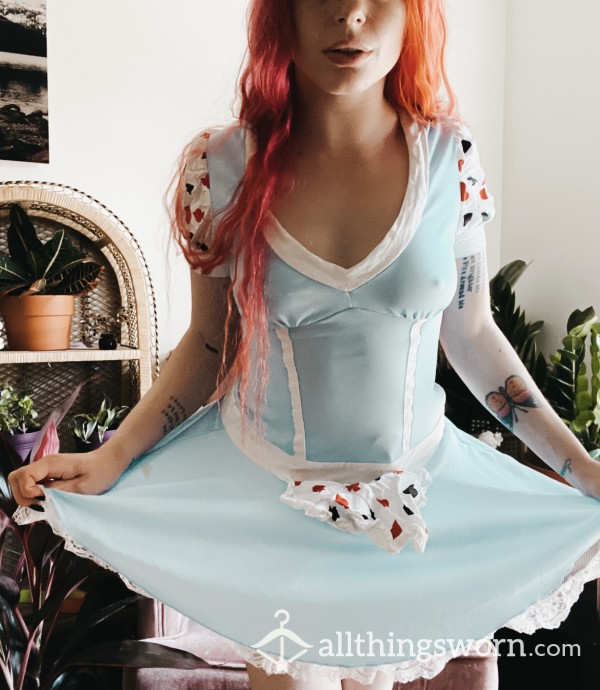 Sexy Alice In Wonderland Dress Costume