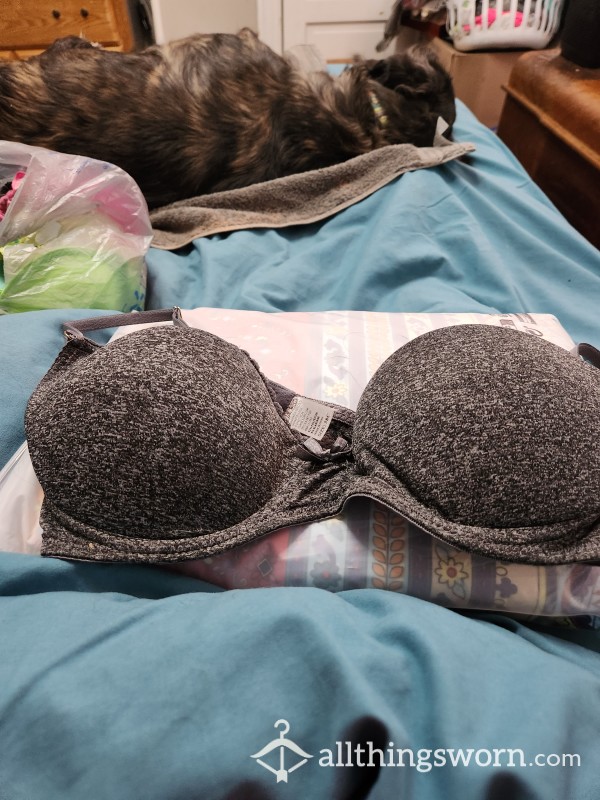 Sexy Bra With Little Grey Bow