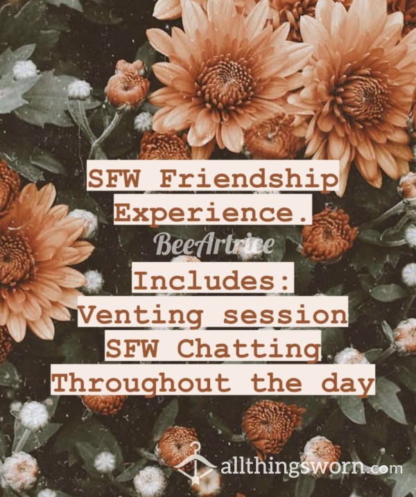SFW Friend Experience- £30 For A Day