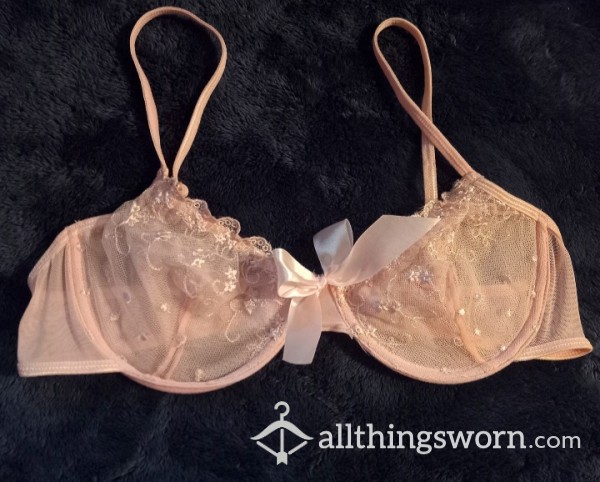 Sheer Pink Bra With Bow