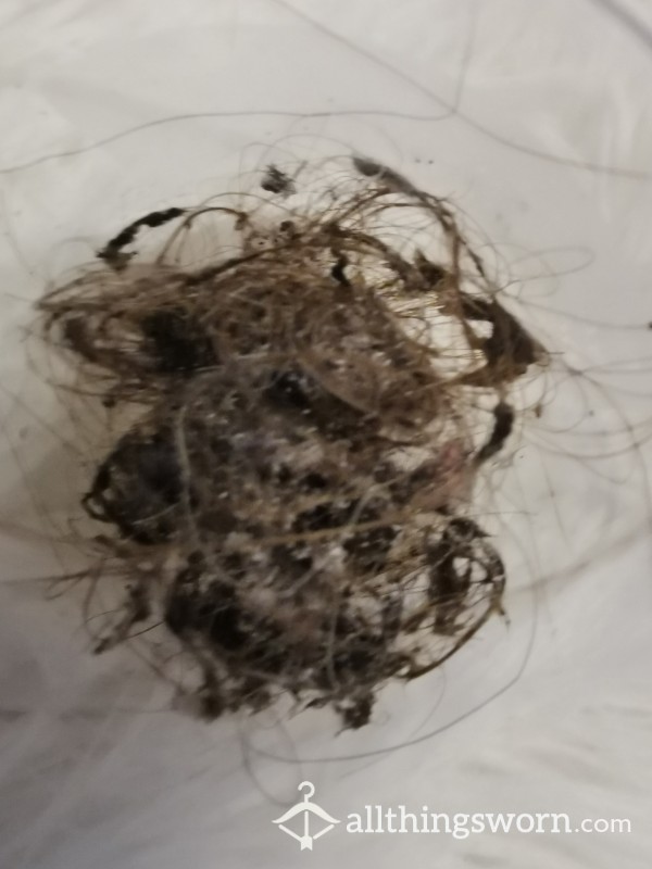 Shower Waste Hair Skin And Dirt Very Strong Smell.