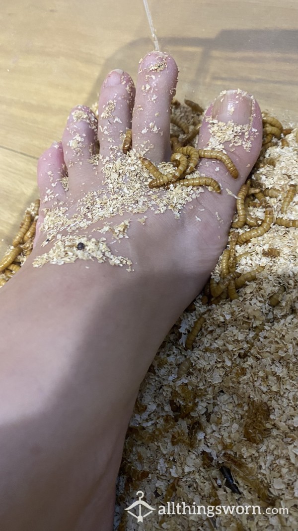 Sisters Feet In Meal Worms
