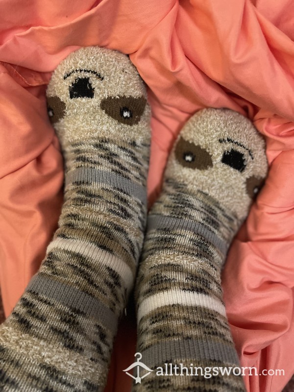 🦥 Sloth Slipper Socks! So Well Loved, I Need New Ones - Vac Sealed 🦥