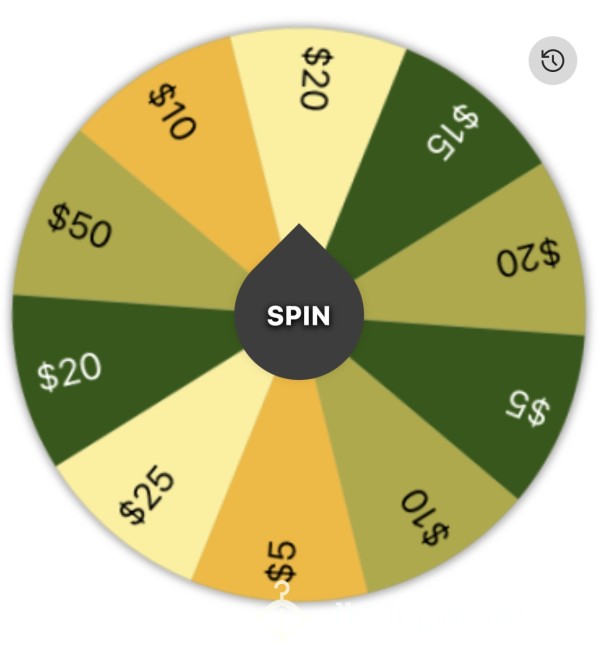 Small 💸 Findom Wheel Spins