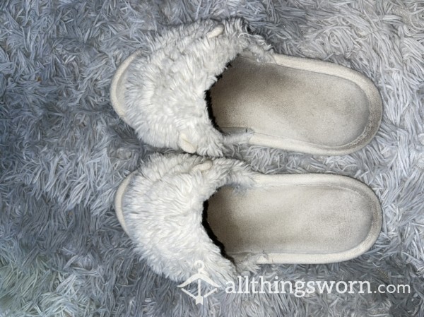 Smelly House Slippers