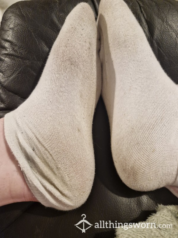 Smelly Socks Worn 48 Hours