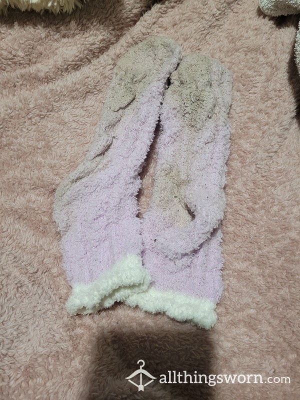 Smelly Socks Worn For 48 Hours