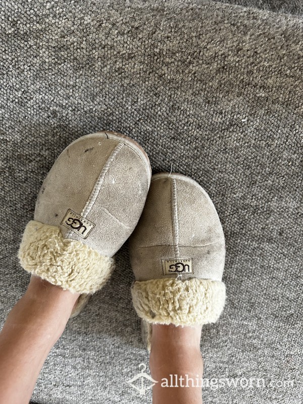 Smelly Ugg Slippers