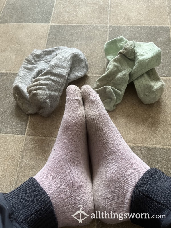 Socks Needing A New Loving Home