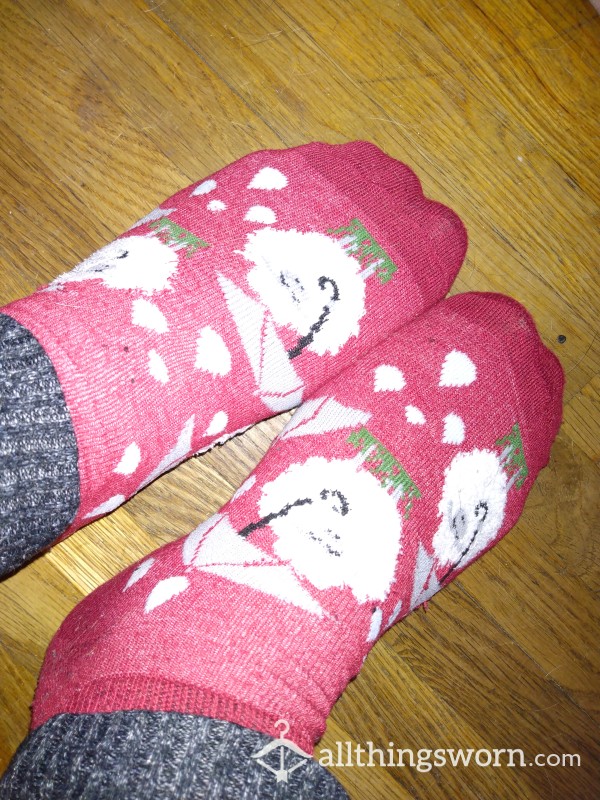 Socks Of The Day!