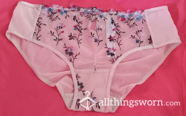 Already Wearing, With Sex Remnants--Sophia Intimates Nude Embroidered Panties, Size XS. Mesh Front With Flowers.