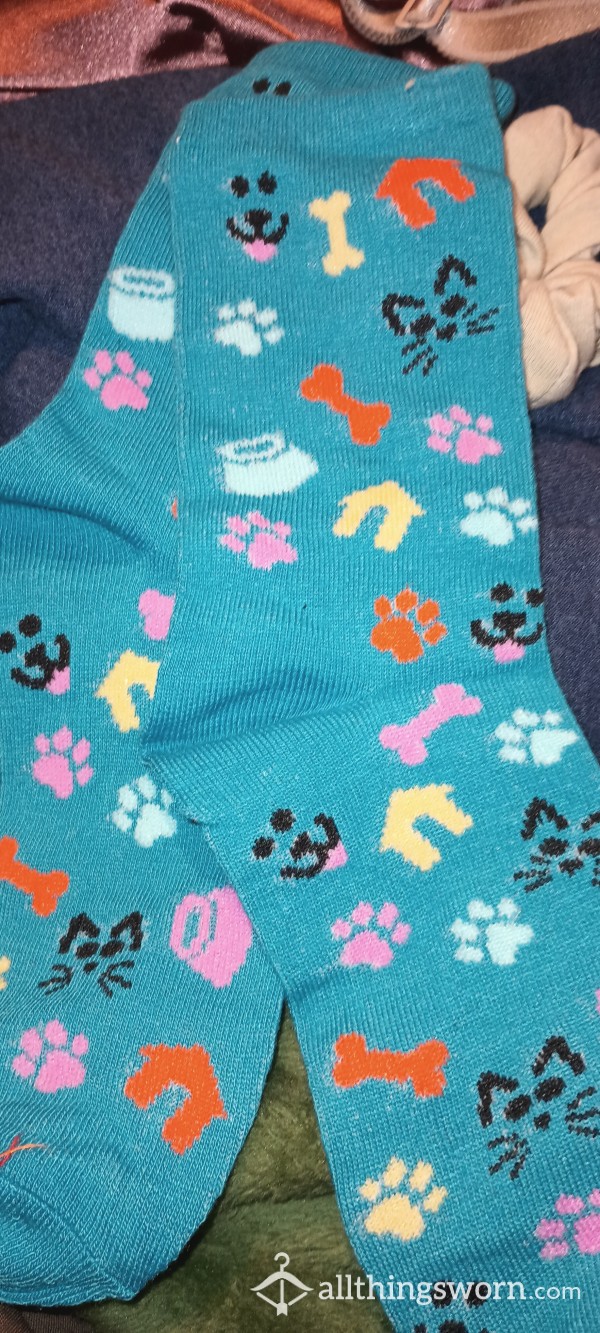 SPCA Socks I Will Match The Sale!