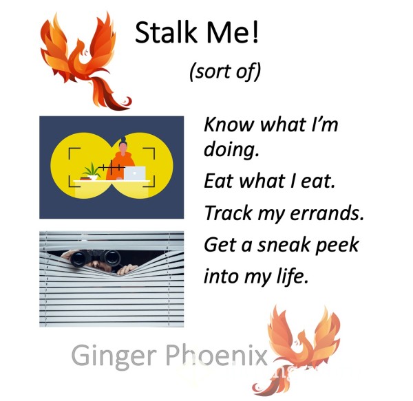 Stalk Me!  (sort Of)