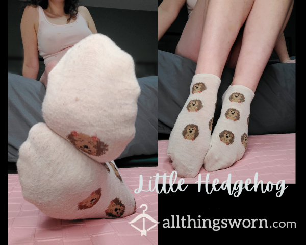 Stinky Little Hedgehog 🦔 Worn 72hr Upon Purchase Or However You'd Like