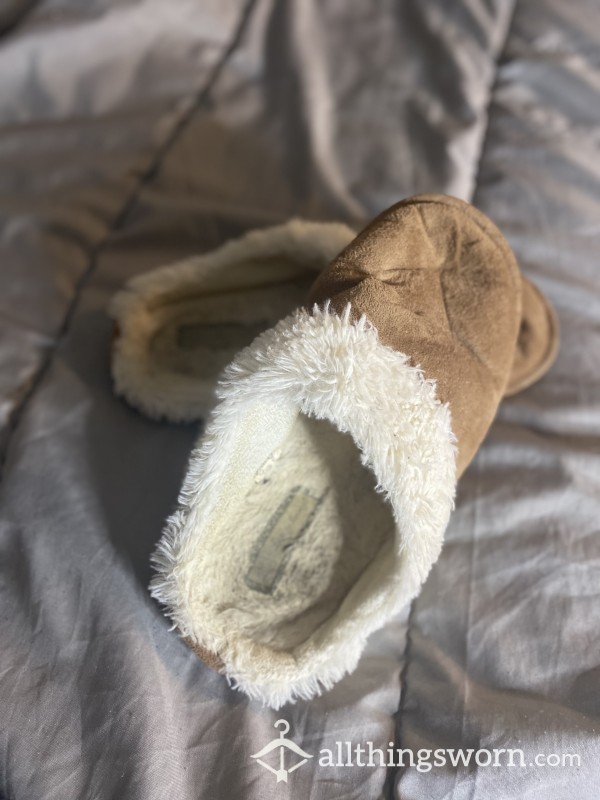Stinky Old Slippers