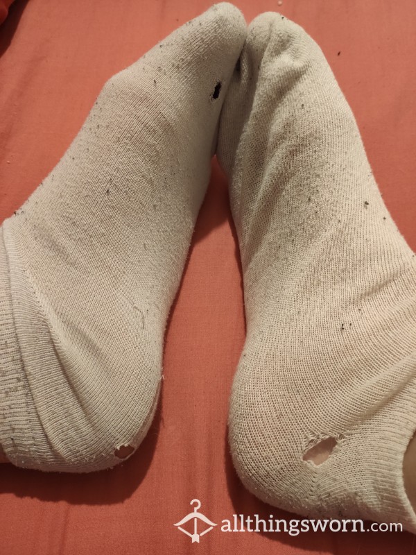 Stinky Old Socks