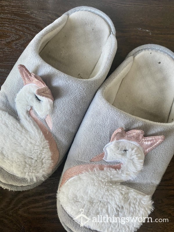 Stinky Slippers (Ready To Be Shipped)
