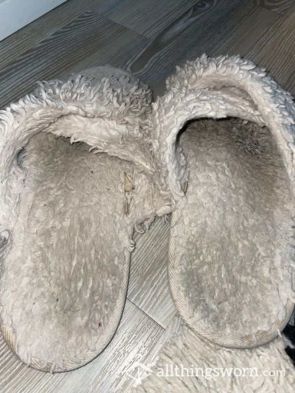 Stinky Well Worn Fluffy Slippers