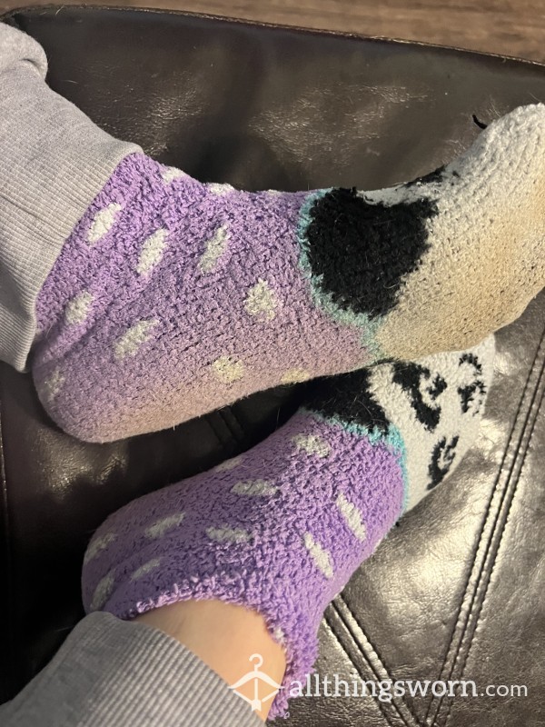 Stinky Wore Out Panda Socks