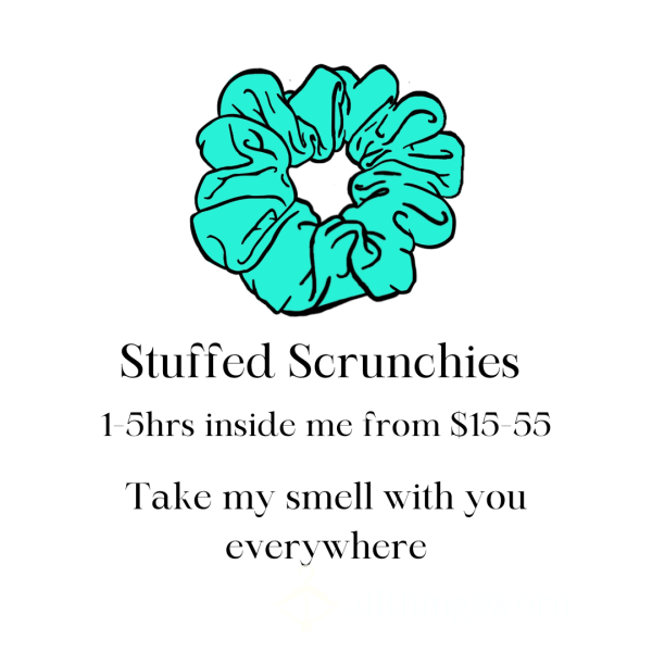 Stuffed Scrunchies
