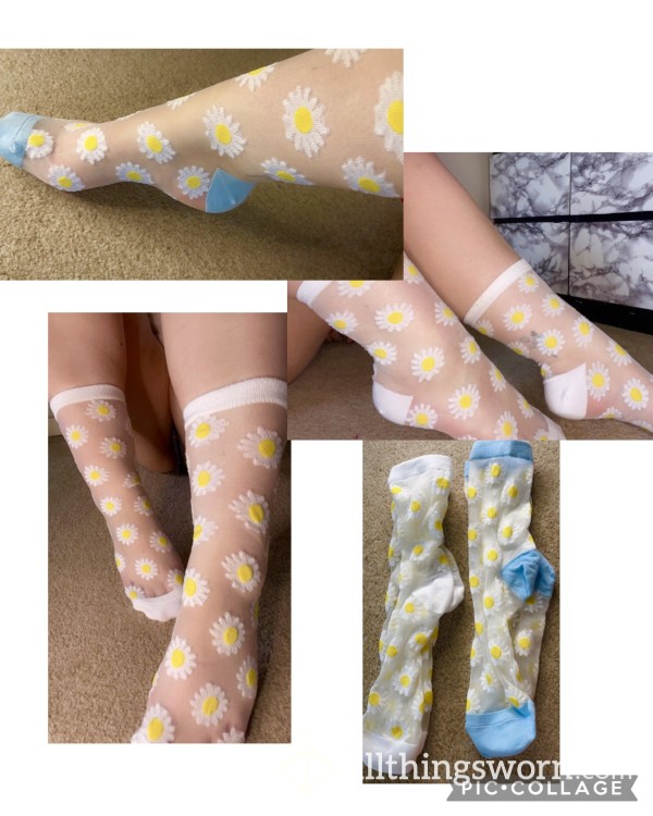 Super Cute Daisy Fashion Socks 🌼🩵🤍