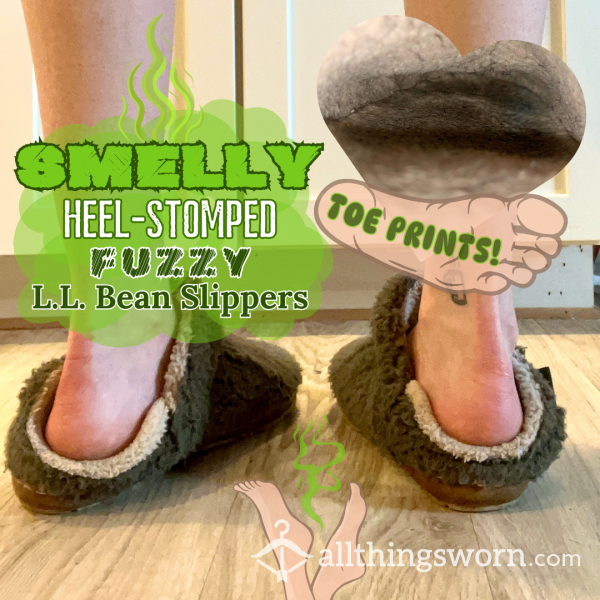 SUPER Smelly L.L. Bean Slippers