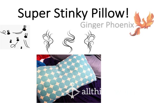 Super Stinky Pillow!  ;) I Know This Is Unusual, But Trust Me.  It's *Ripe*