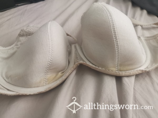 SALE -  32FF Sweaty Stained Charnos Bra