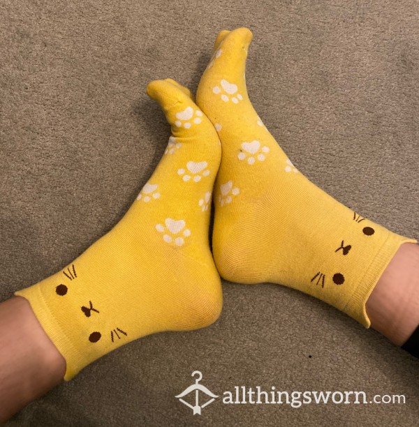 Sweaty/Smelly Cat Socks 🐱
