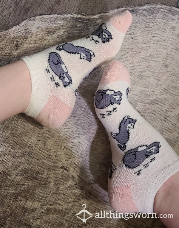Sweet, Sexy, Sleepy Kitty Ankle Socks.