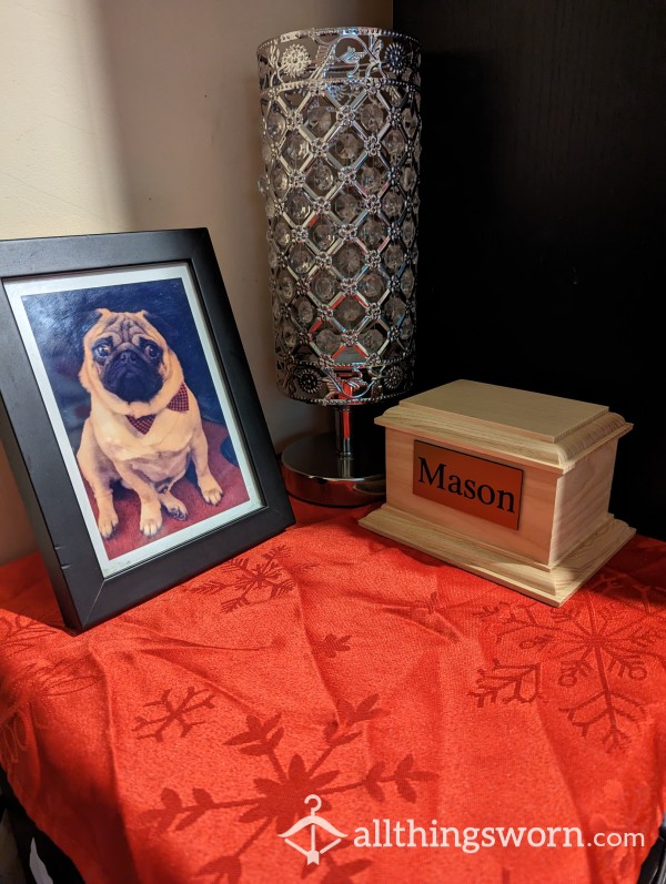 Tattoo Fund With My Beloved Pug Mason's Ashes