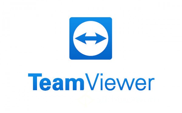 Teamviewer Session