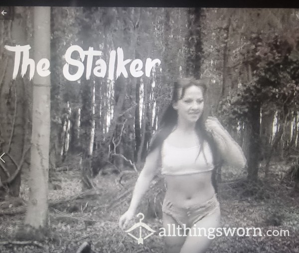 The Stalker - 1 Hr Long Trilogie - Filmes Mainly Outdoors