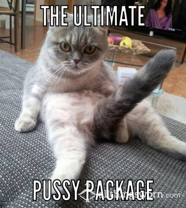 The Ultimate Pussy Package 🐈‍⬛