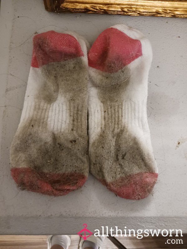 These Socks Have Been Through Hell