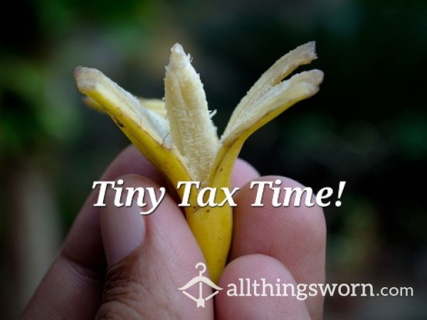 Tiny Tax Time!