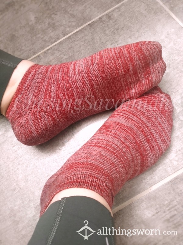 CLEARANCE: Burgundy Ankle Socks 72h