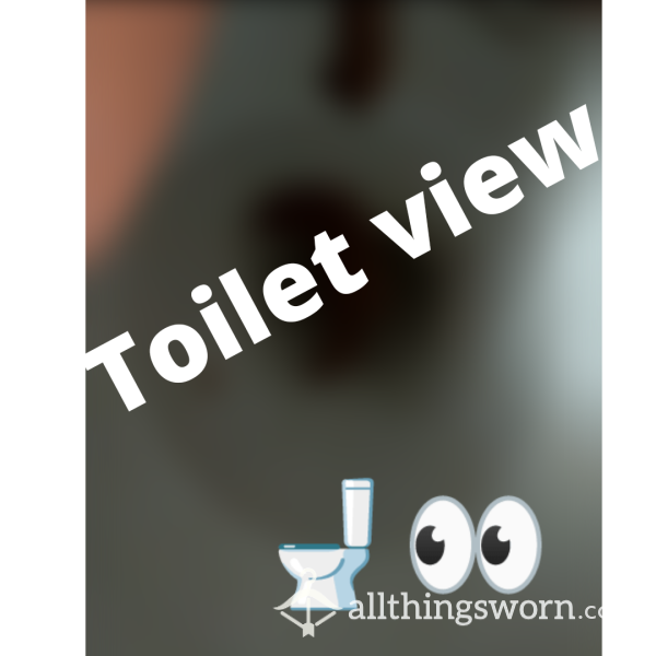 Falling Into Toilet 🚽