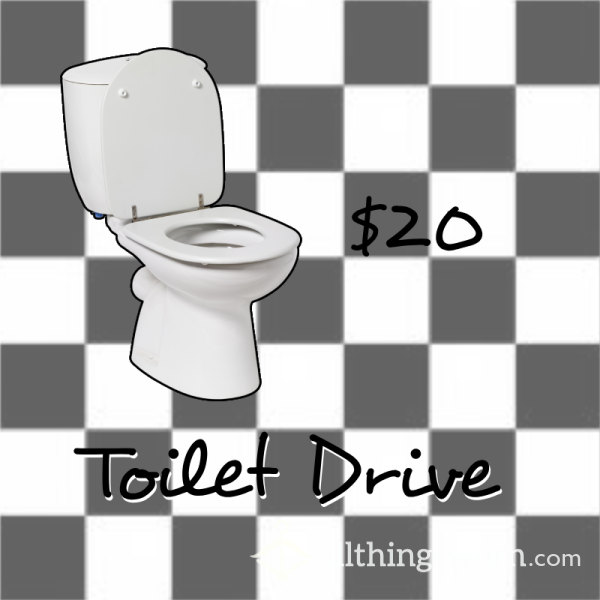 Toilet Drive