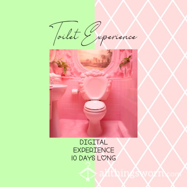 Toilet Experience(digital)🛐
