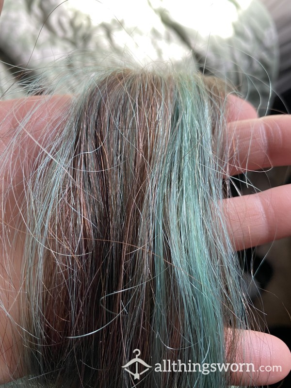 Turquoise & Brown Hair Clippings