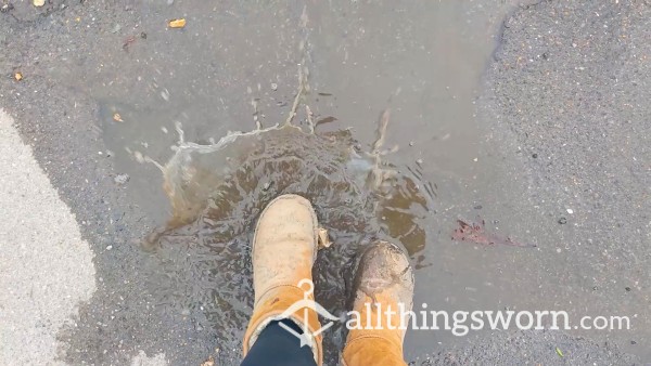 Uggs In Puddles (D)