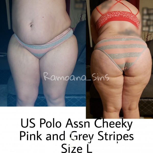 US Polo Assn Pink And Grey Cheeky Bikini